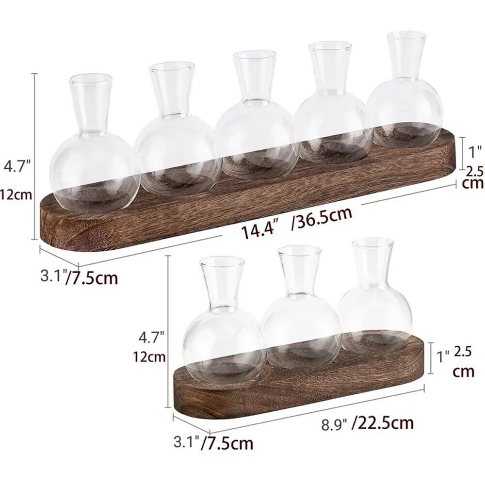 3/5 Desktop Bulb Glass Vase Wooden Stand Hydroponics Plant Propagation Station