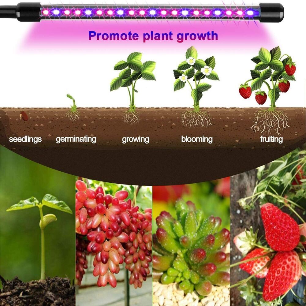 LED USB Plant Grow Light Indoor Growing Lamp Full Spectrum Dimmable 1/2/3/4 Head