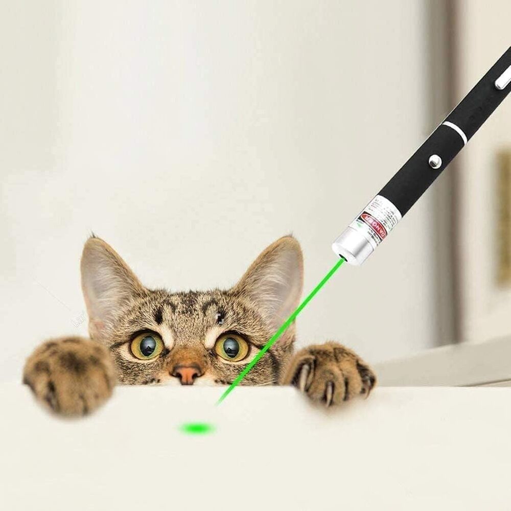 3x Laser Pointer Pen Green Purple Red Light Visible Beam For Cat Dog office Pet