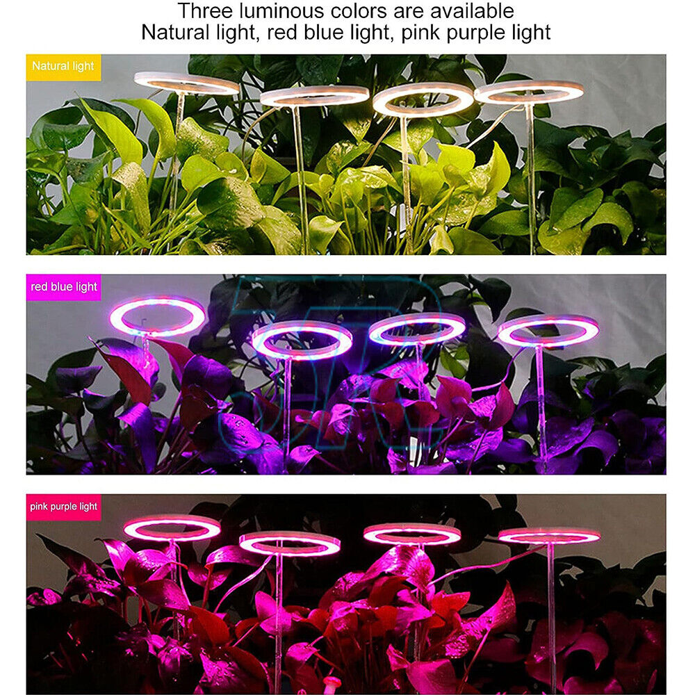 2x LED Plant Halo Light USB Ring Grow Light Lamp Angel Phytolamp Indoor Plant