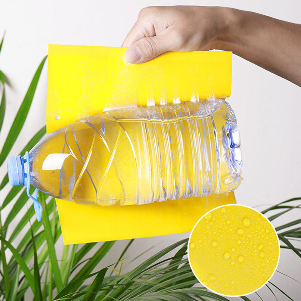 50x Yellow Sticky Traps Flies Trap Insect Trap Sticky Paper Fruit Fly Trap