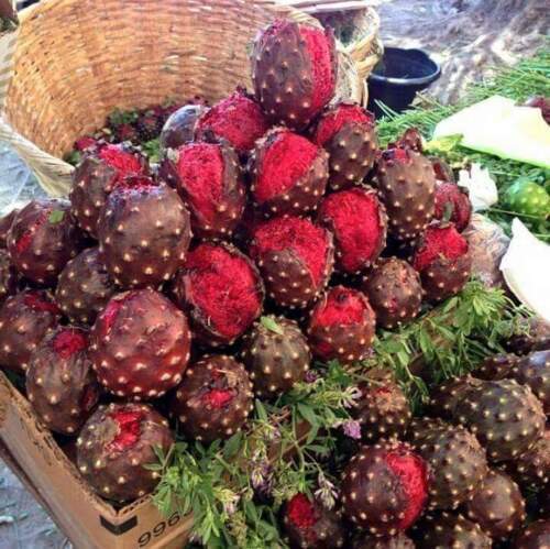 Pitaya Seed 200 Mixed Color Pitaya Seeds Dragon Fruit Organic Fruit Heirloom