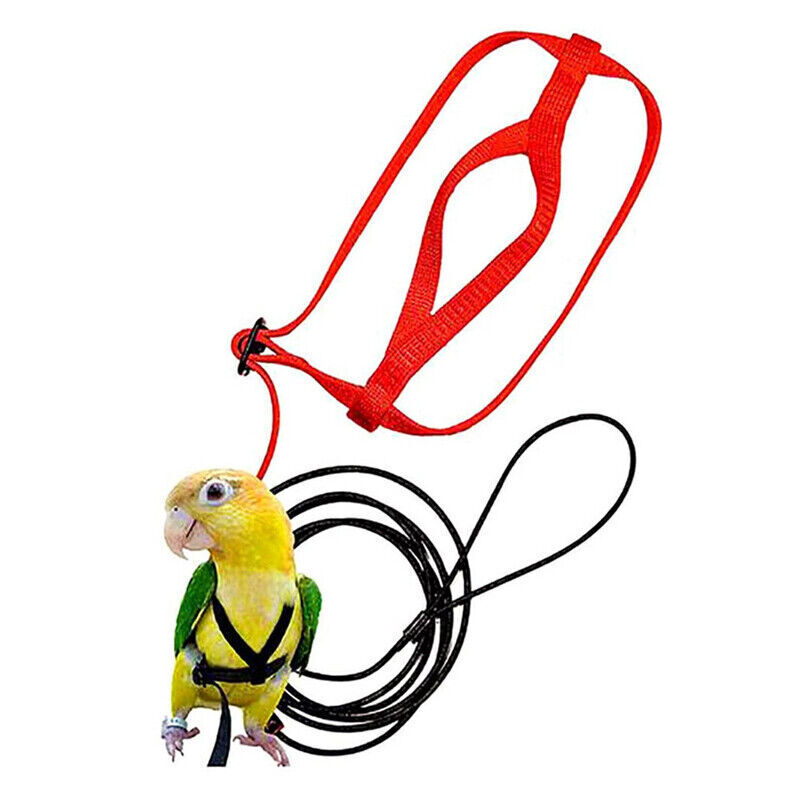 Pet Parrot Bird Harness Lead Leash Flying Training Rope Cockatiel Outdoor