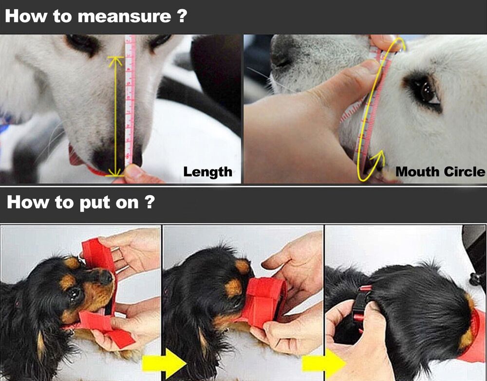 Pet Dog Adjustable Mask Bark Bite Mesh Mouth Muzzle Grooming Anti Stop Chewing