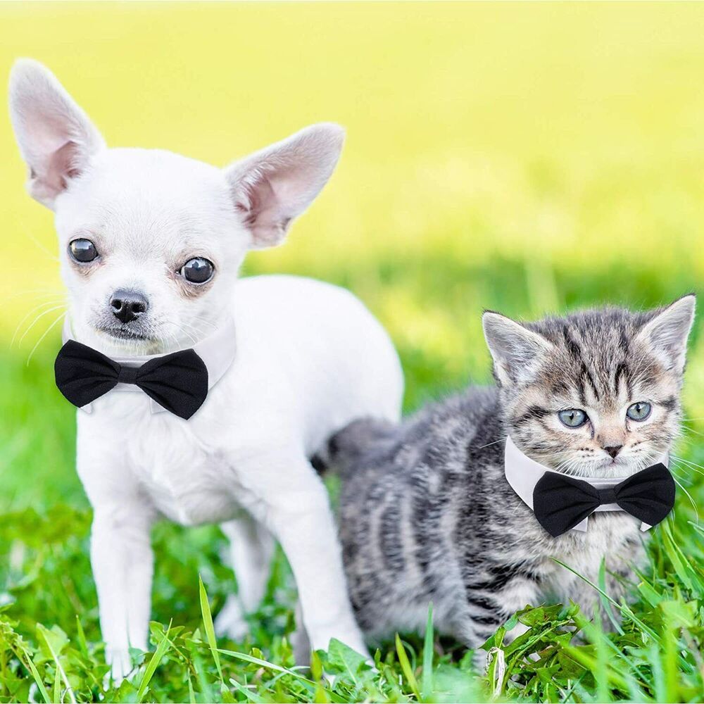 Pet Dog Cat Pet Bowtie Collar Necktie Neck tie Wedding Tuxedo Bow Tie Party