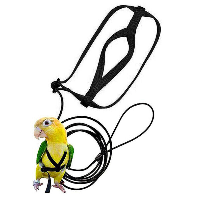 Pet Parrot Bird Harness Lead Leash Flying Training Rope Cockatiel Outdoor