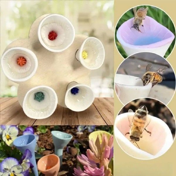 5 Cups Insects-Bee Drinking Cup Bee-Watering Station for Feeding and Watering