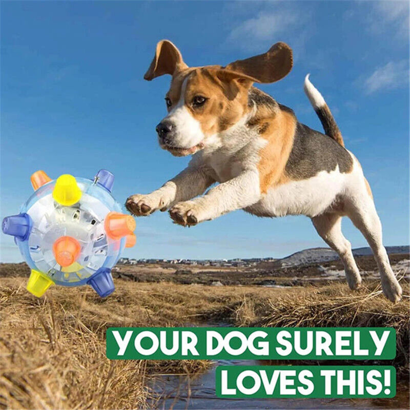 Jumping Activation Ball for Dogs Durable Reusable Cute for Dogs Funny Toys