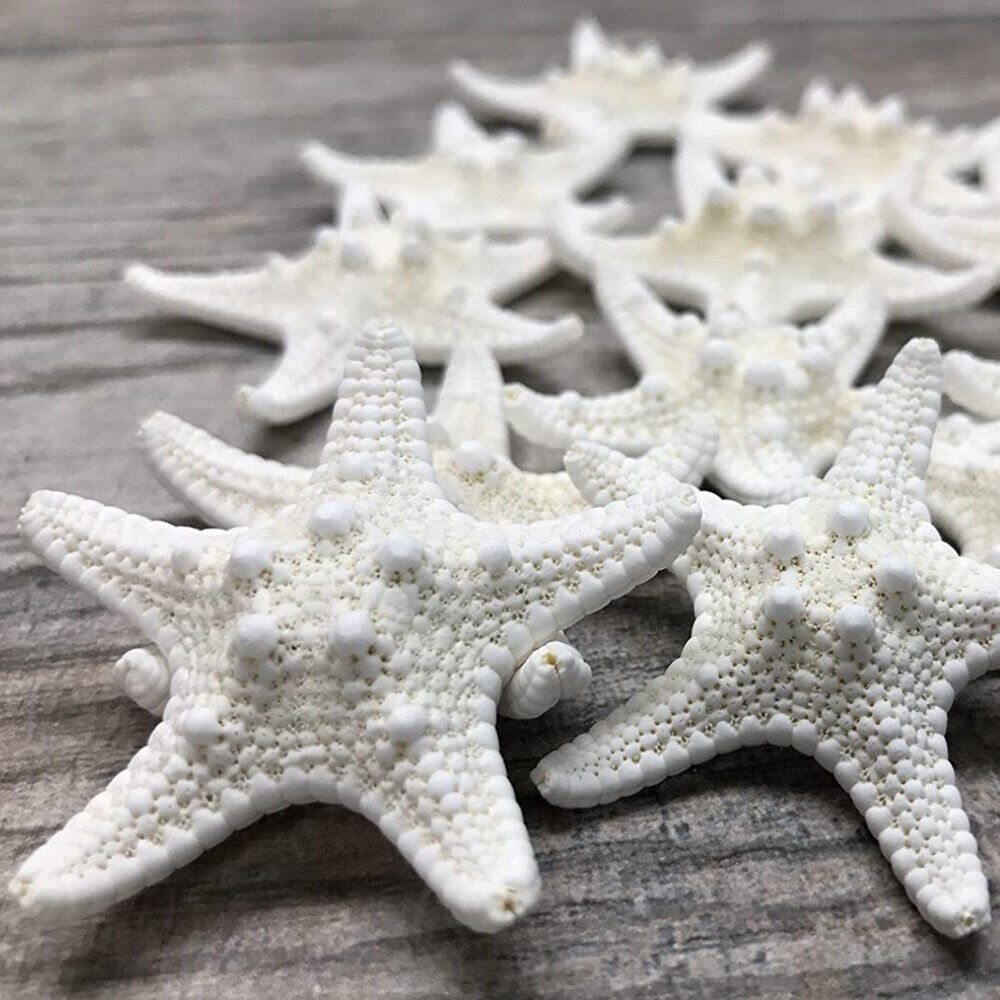 10Pcs Dried Starfish Beach Craft Wedding Party Home Decor Hanging Ornaments