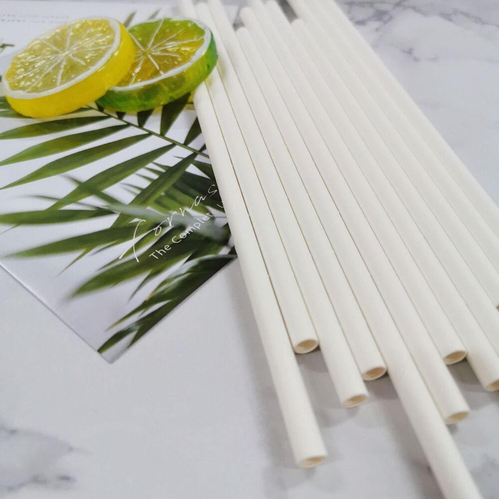 500pcs Paper Drinking Straws Disposable White Colourful Eco Catering Straw