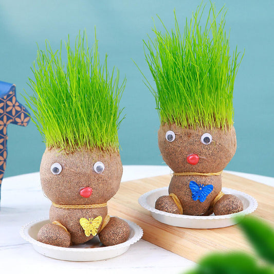 Grass Head Doll Plant Desktop Green Plants Mini Bonsai Pots With Tray Decoration