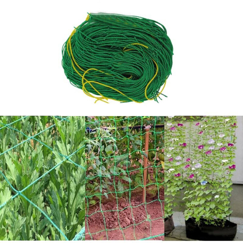 NEW Climbing Rattan Net Ornaments Plant Support Net Heat-resistance for Grapes B