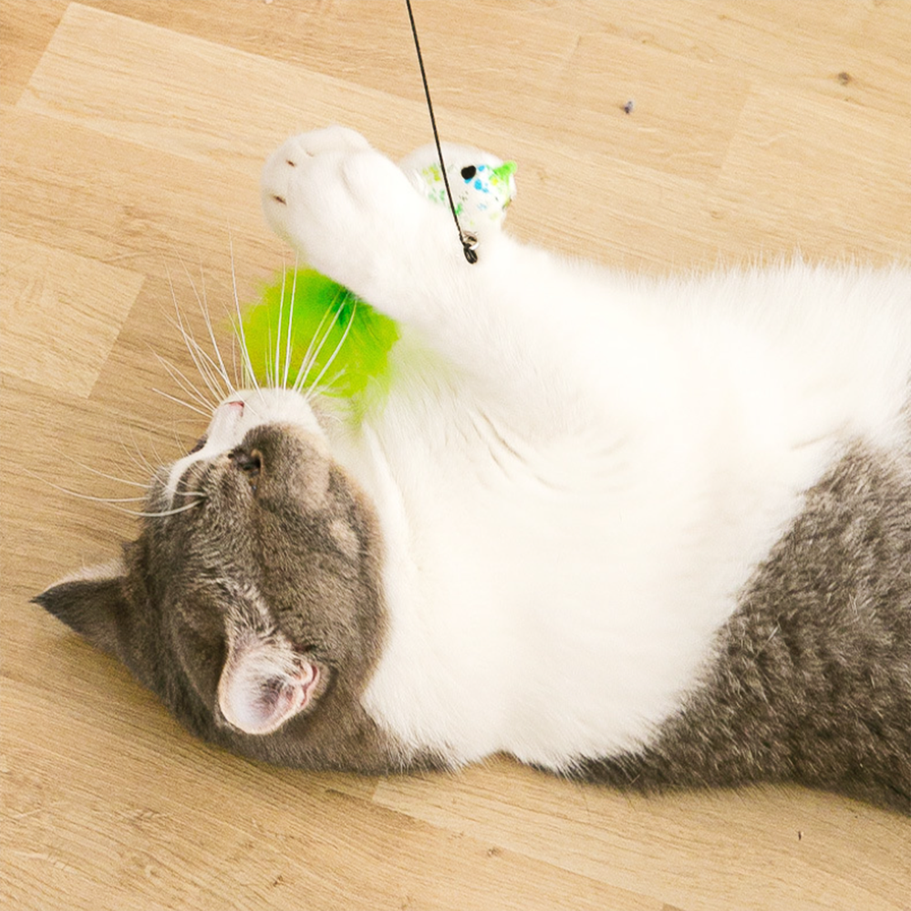 Interactive Cat Toys Simulation Bird Feather Toys Suction Cup Pet Teaser Wand