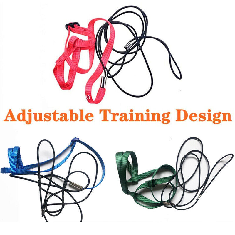 Pet Parrot Bird Harness Lead Leash Flying Training Rope Cockatiel Outdoor