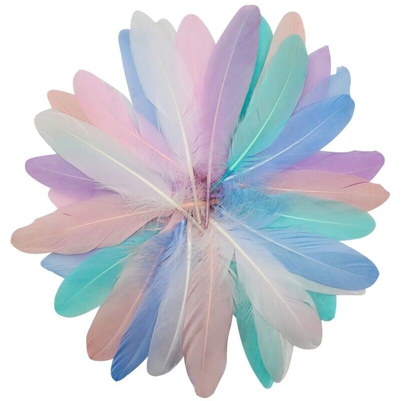 1000X Floating Goose Feather Colourful Feather Wedding Party Clothing Decoration