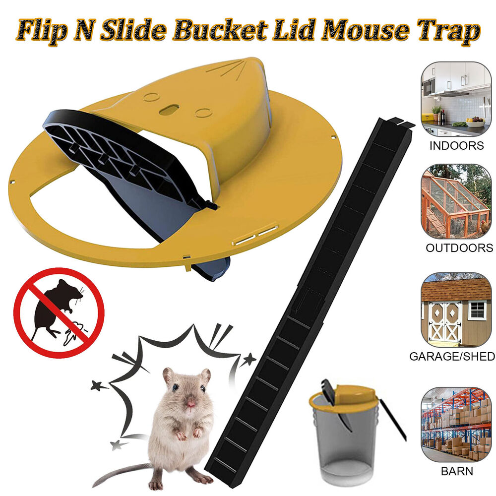 3pcs Mouse Trap - Flip N Slide Bucket Lid Mouse Rat Trap W/Ladder Mouse trap Catcher