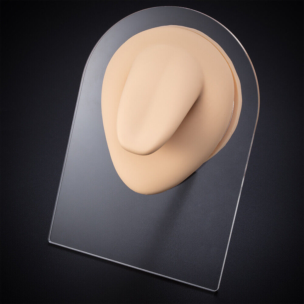 Silicone Ear Model with Acrylic Display Stand Body Part Practice Piercing Tool