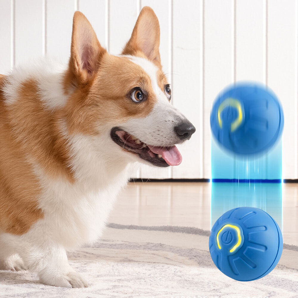 Automatic Jumping Ball Pet Dog Interactive Training Toy Puppy Fetch Ball Toys