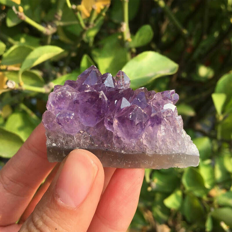 Natural Amethyst Cluster Crystal Quartz Stones Healing Rough Mineral Specimen