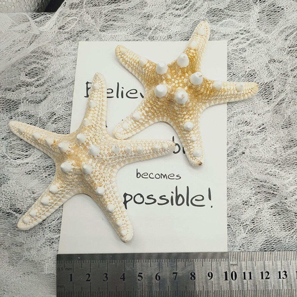 10Pcs Dried Starfish Beach Craft Wedding Party Home Decor Hanging Ornaments