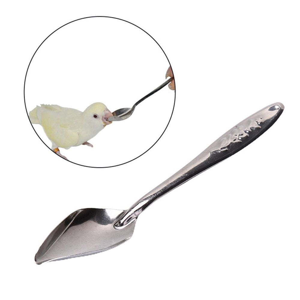 Baby Bird Feeder Parrot Syringe Plastic Feeder Tubes Feeding Bird Supplies