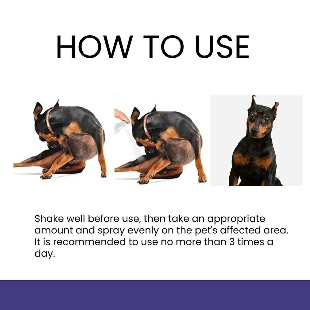 New Hydrocortisone Spray Pet Anti Itching Spray For Dog and Cats Practical