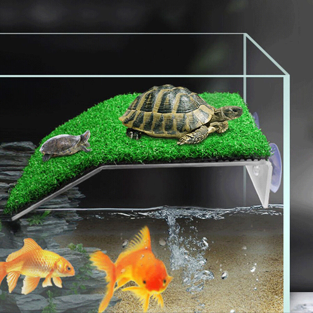 Turtle Basking Platform with Simulation Turf Turtle Resting Terrace with