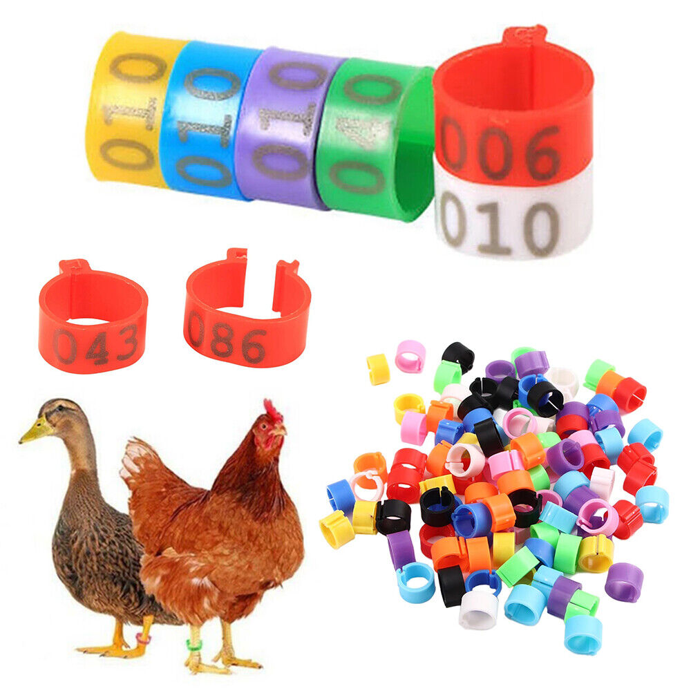 100PCS 001-100 Numbered 8/16 mm Pet Poultry Goose Chicken Duck Leg Band Rings