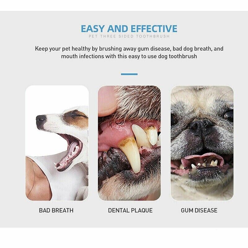 Pet Toothbrush Dog Teeth Cleaning Brush Pet Cat Toothbrush Dog Dental Care Oral