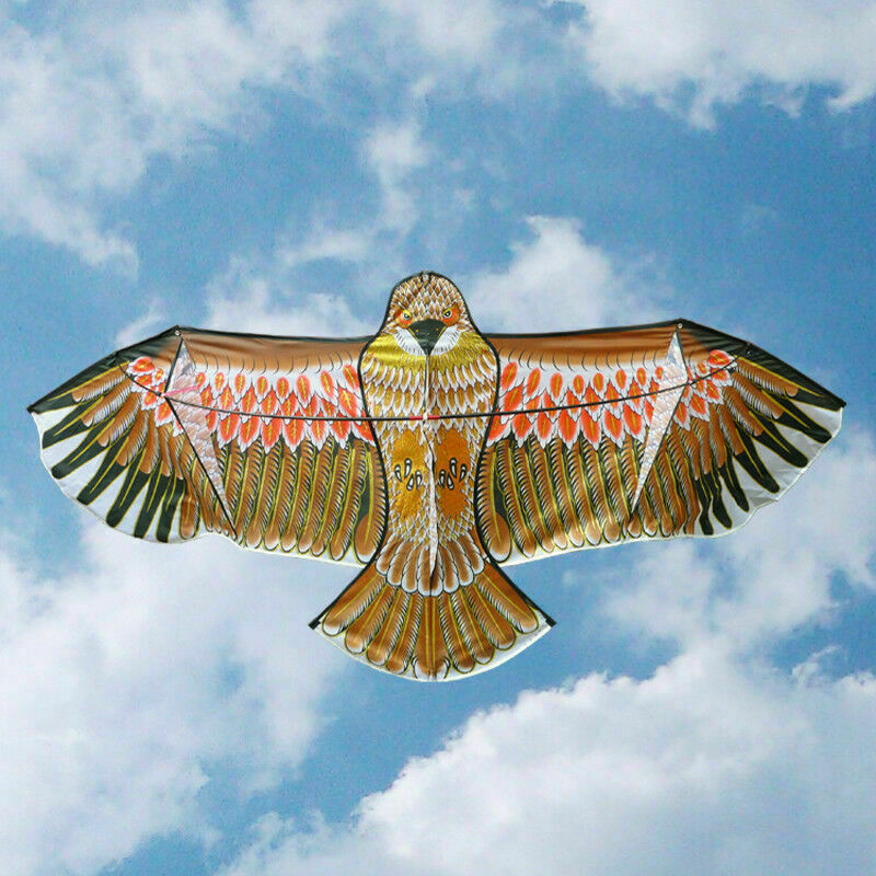 3D Flying Large Eagle Bird Kite Family Kids Outdoor Toy Sports Gift S5H2