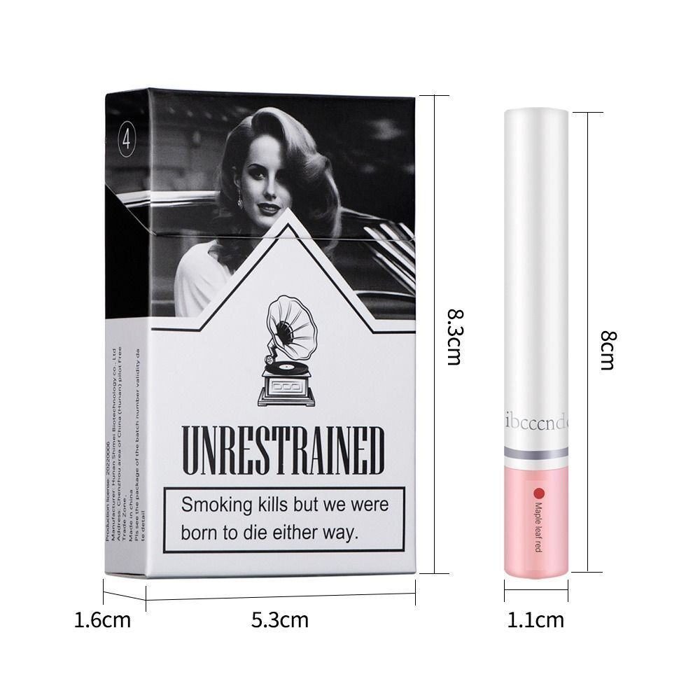 4 PCS Lana Del Rey Lipstick Glossy Tube Lipstick Waterproof Lip Tint Stain Set Women