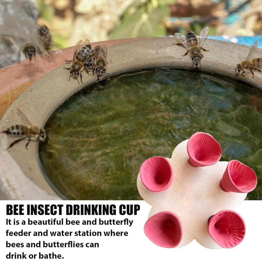 5 Cups Insects-Bee Drinking Cup Bee-Watering Station for Feeding and Watering