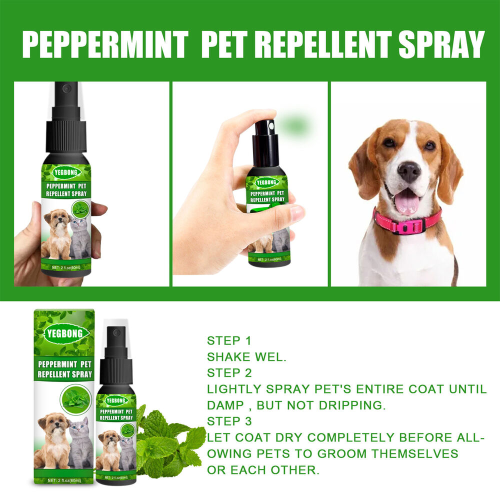 2X Flea Tick Mite Treatment Sprays Anti Itch For Pets Dogs Cat Instant Repellent