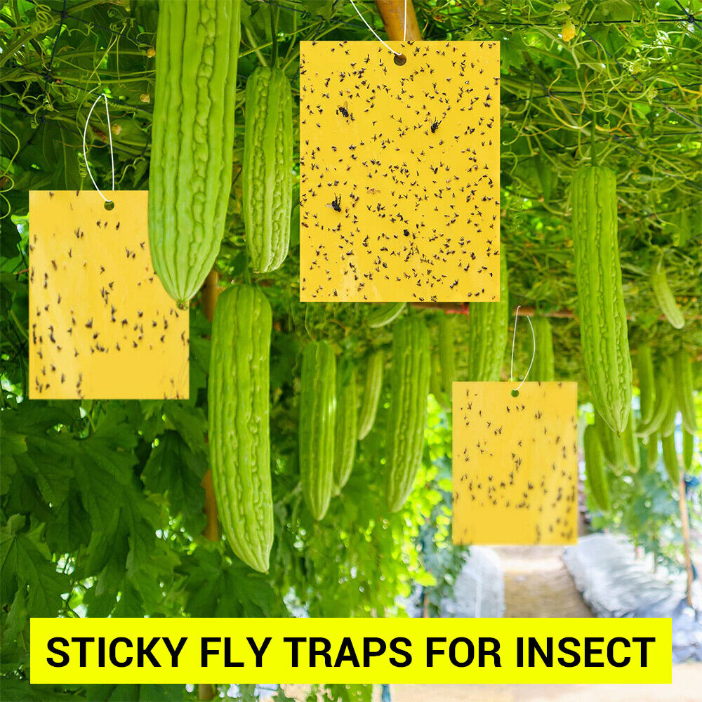 50x Yellow Sticky Traps Flies Trap Insect Trap Sticky Paper Fruit Fly Trap