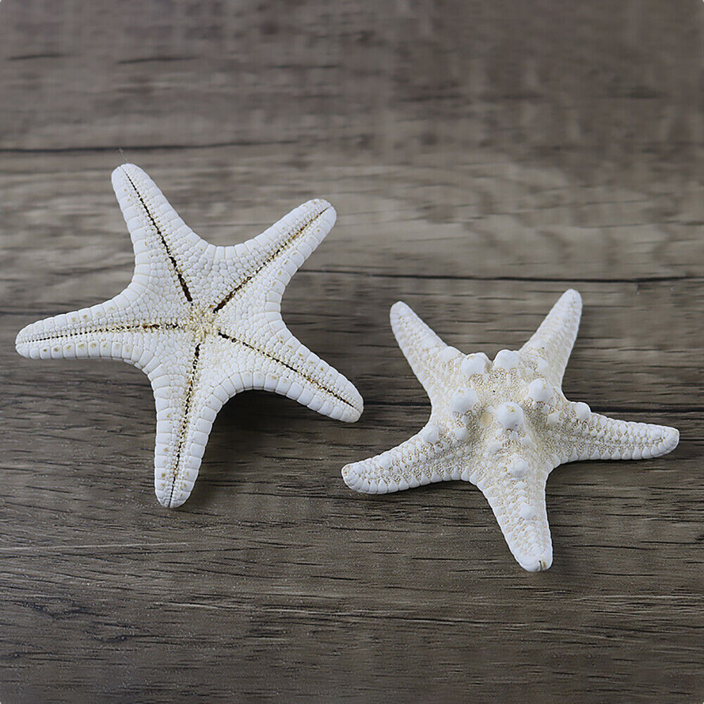 10Pcs Dried Starfish Beach Craft Wedding Party Home Decor Hanging Ornaments