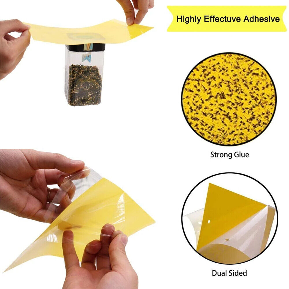 50x Yellow Sticky Traps Flies Trap Insect Trap Sticky Paper Fruit Fly Trap