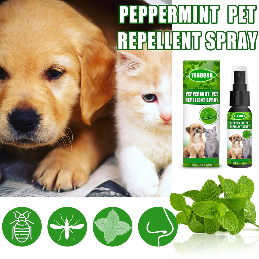 2X Flea Tick Mite Treatment Sprays Anti Itch For Pets Dogs Cat Instant Repellent