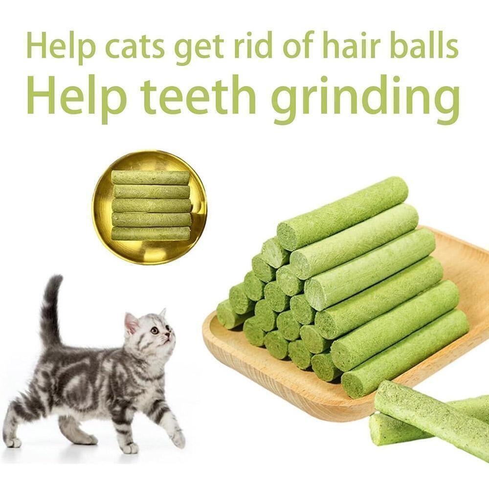 2x Cat Grass Teething Stick, Cat Grass Teething Stick Cuddles Meow Teeth