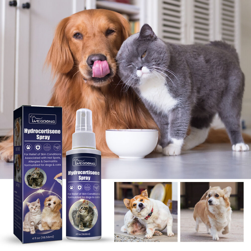 New Hydrocortisone Spray Pet Anti Itching Spray For Dog and Cats Practical