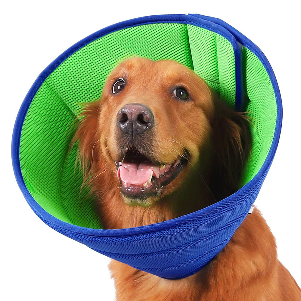 Pet Dog Cat Adjustable Elizabethan Collar Soft E Collar Cone Healing Recovery