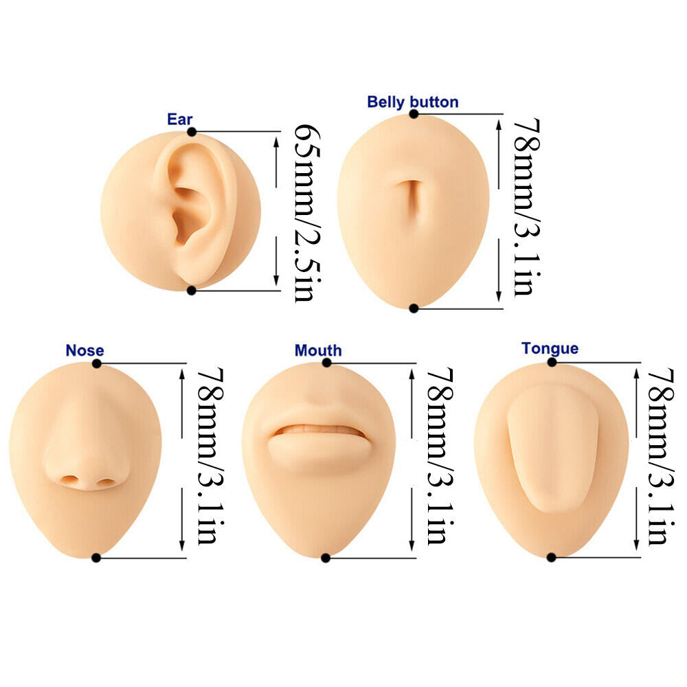 Silicone Ear Model with Acrylic Display Stand Body Part Practice Piercing Tool