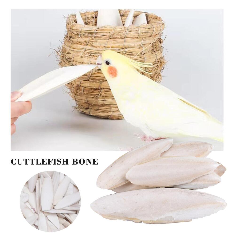 1 bag Cuttlebone Cuttlefish Bone Sepia Cuttle Fish Food Pickstone Bird S4O6