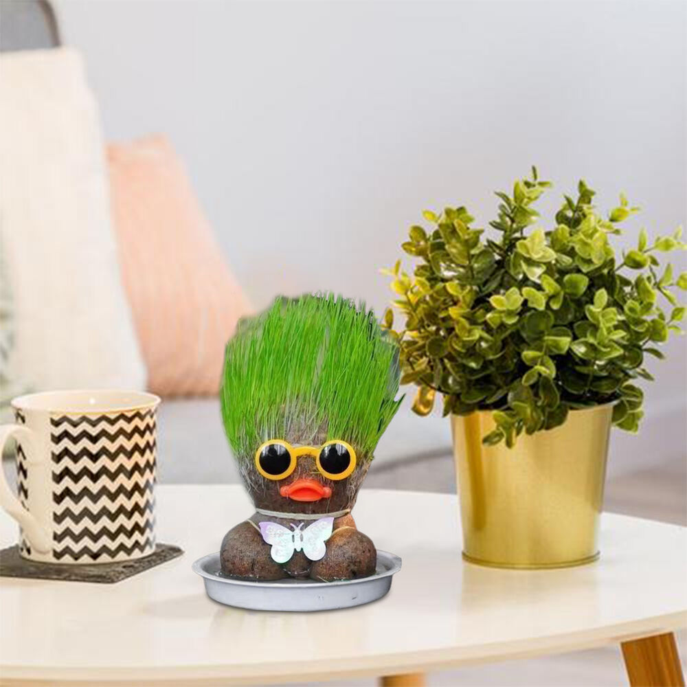 Room Decor Mini Grass Head Doll Small Potted Plant Watering Green Plants Beautif