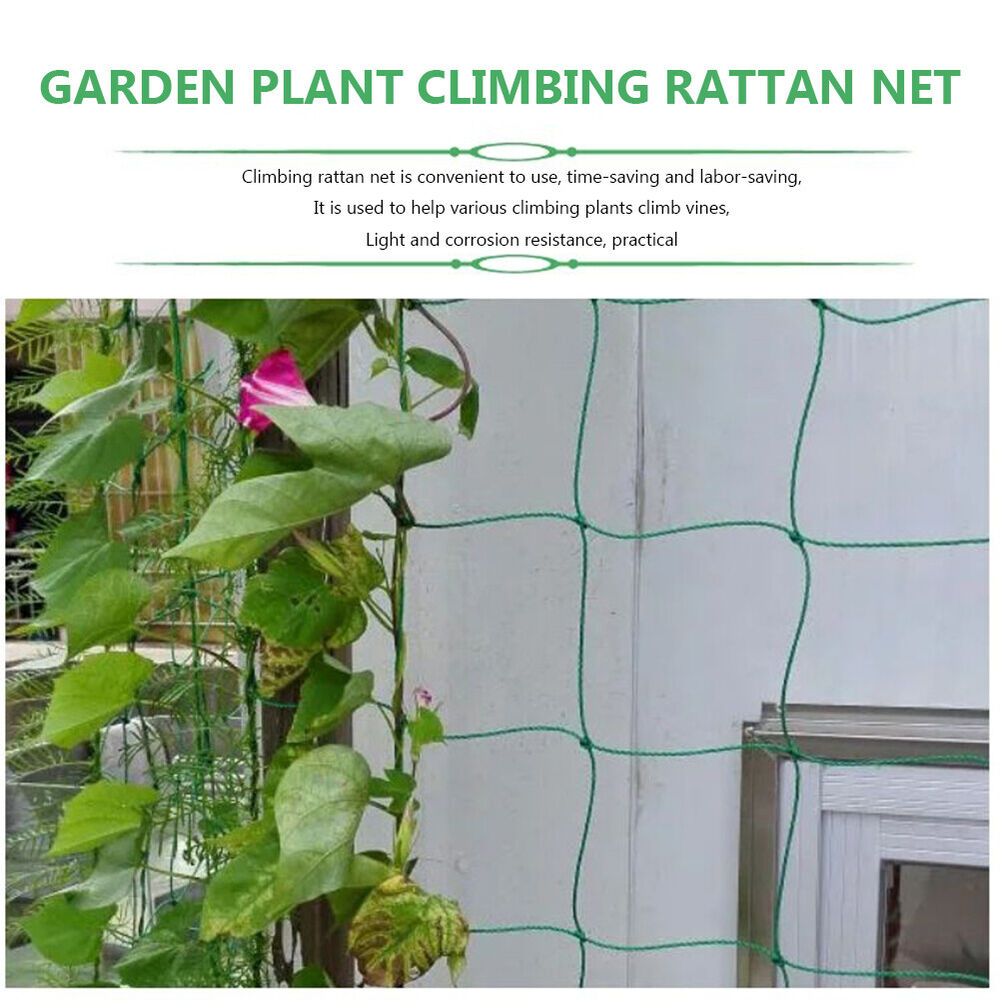 NEW Climbing Rattan Net Ornaments Plant Support Net Heat-resistance for Grapes B