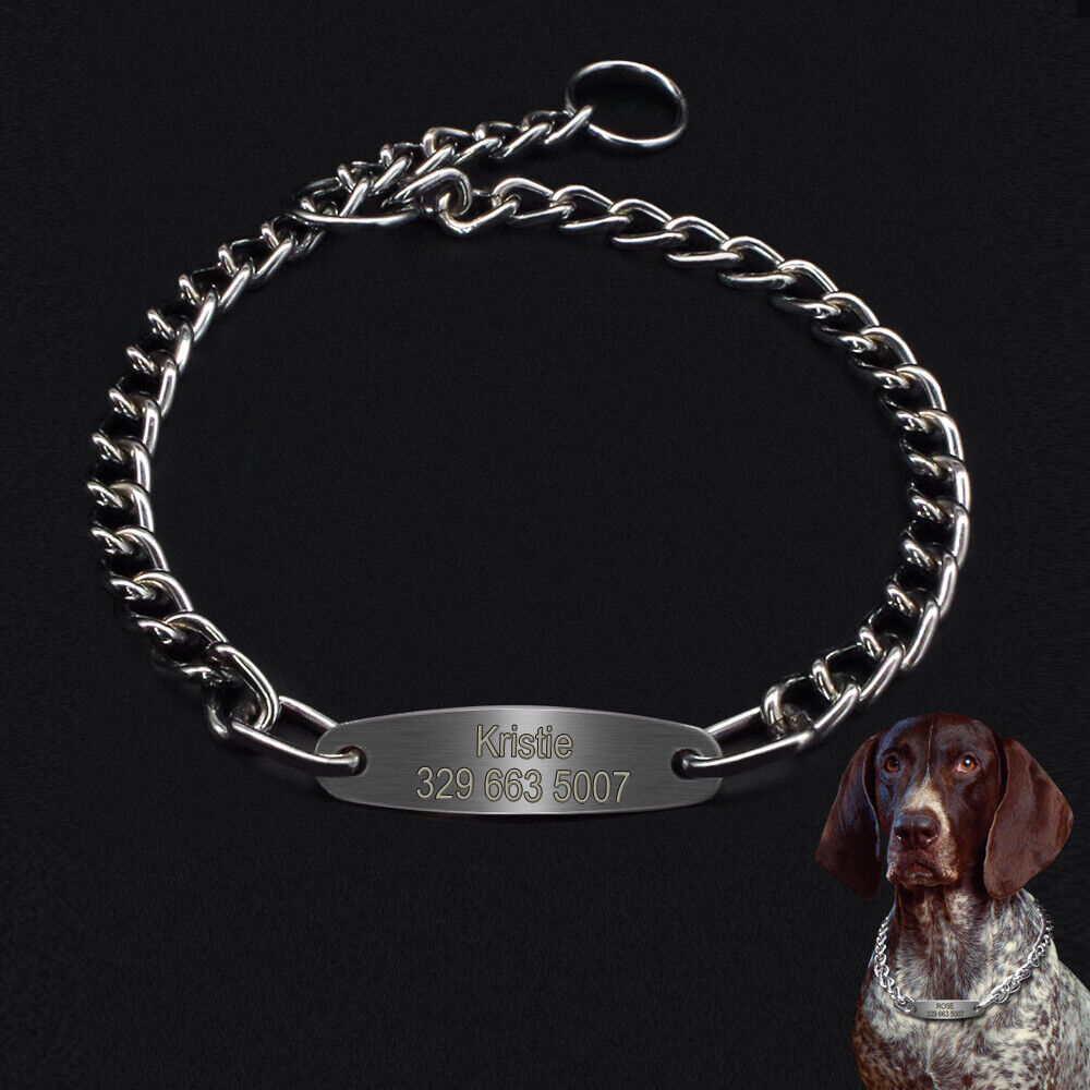 Personalized Dog Chain Choke Collar Engraved ID Slip Dog Collar for Pitbull Pug