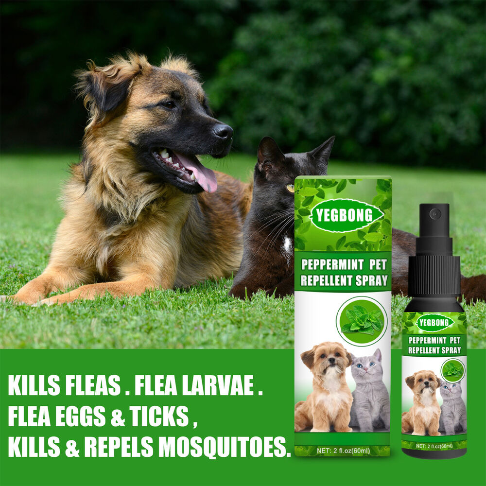 2X Flea Tick Mite Treatment Sprays Anti Itch For Pets Dogs Cat Instant Repellent