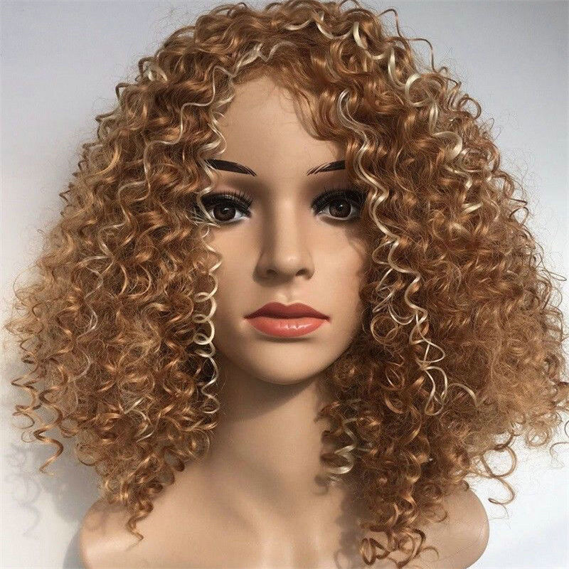 Long Full Wavy Front Lace Wig Afro Kinky Curly Natural Hair Wigs Women Black new