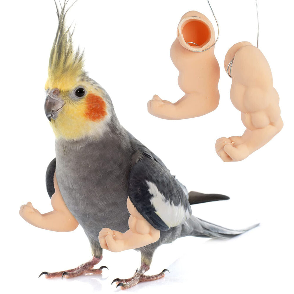 Muscle Chicken Arms Gag Gift Chicken Arms For Chicken to Wear Fighting