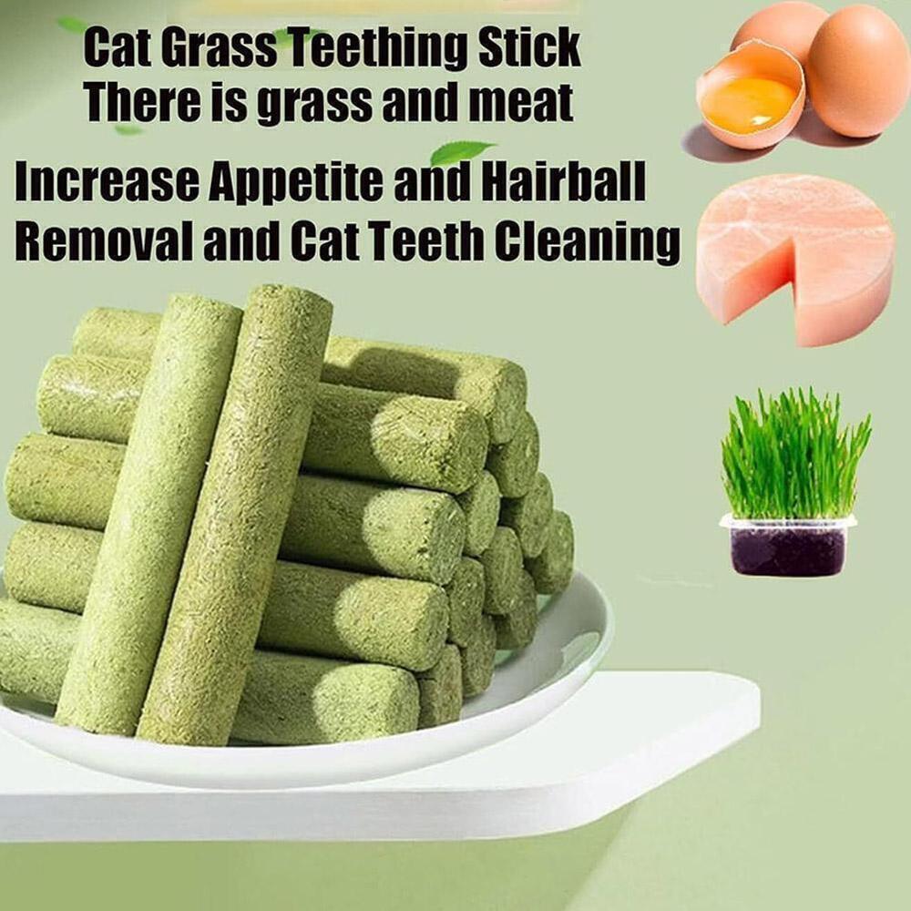 2x Cat Grass Teething Stick, Cat Grass Teething Stick Cuddles Meow Teeth