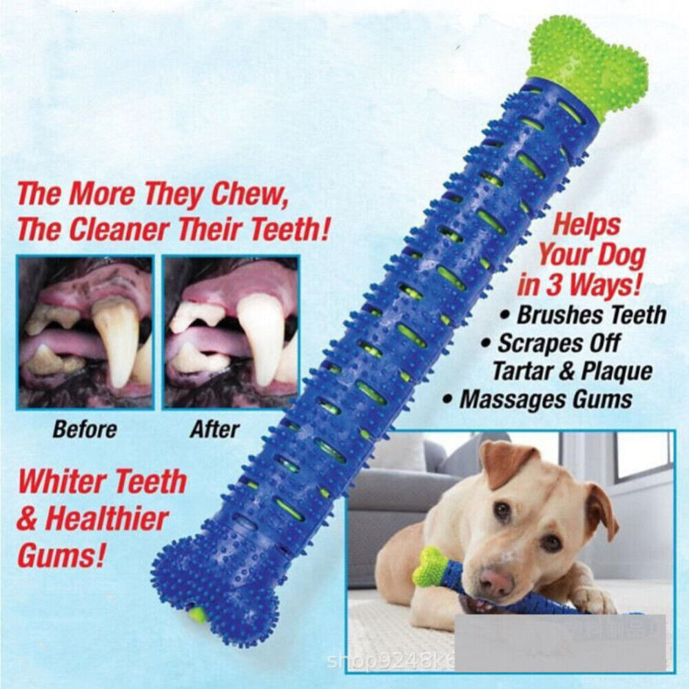 Pet Dog Toothbrush Drew Brush Bone Shape Toy Funny Chew Dental Care Toy